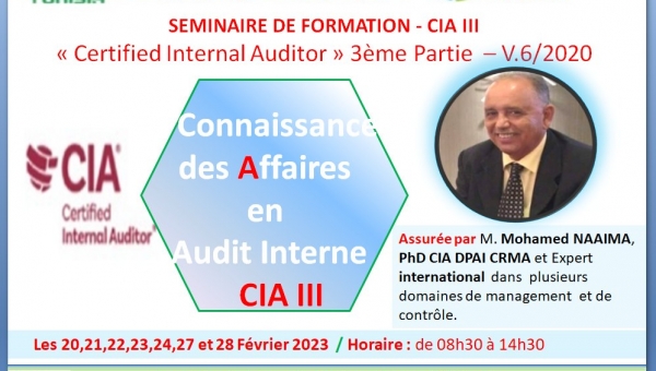 Préparation à l’Examen CIA « Certified Internal Auditor : Troisième PARTIE» 